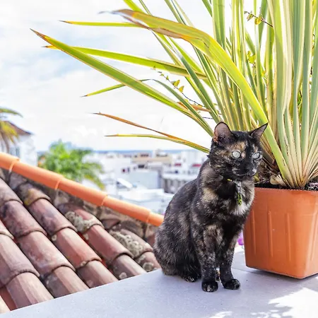 San Telmo Отель